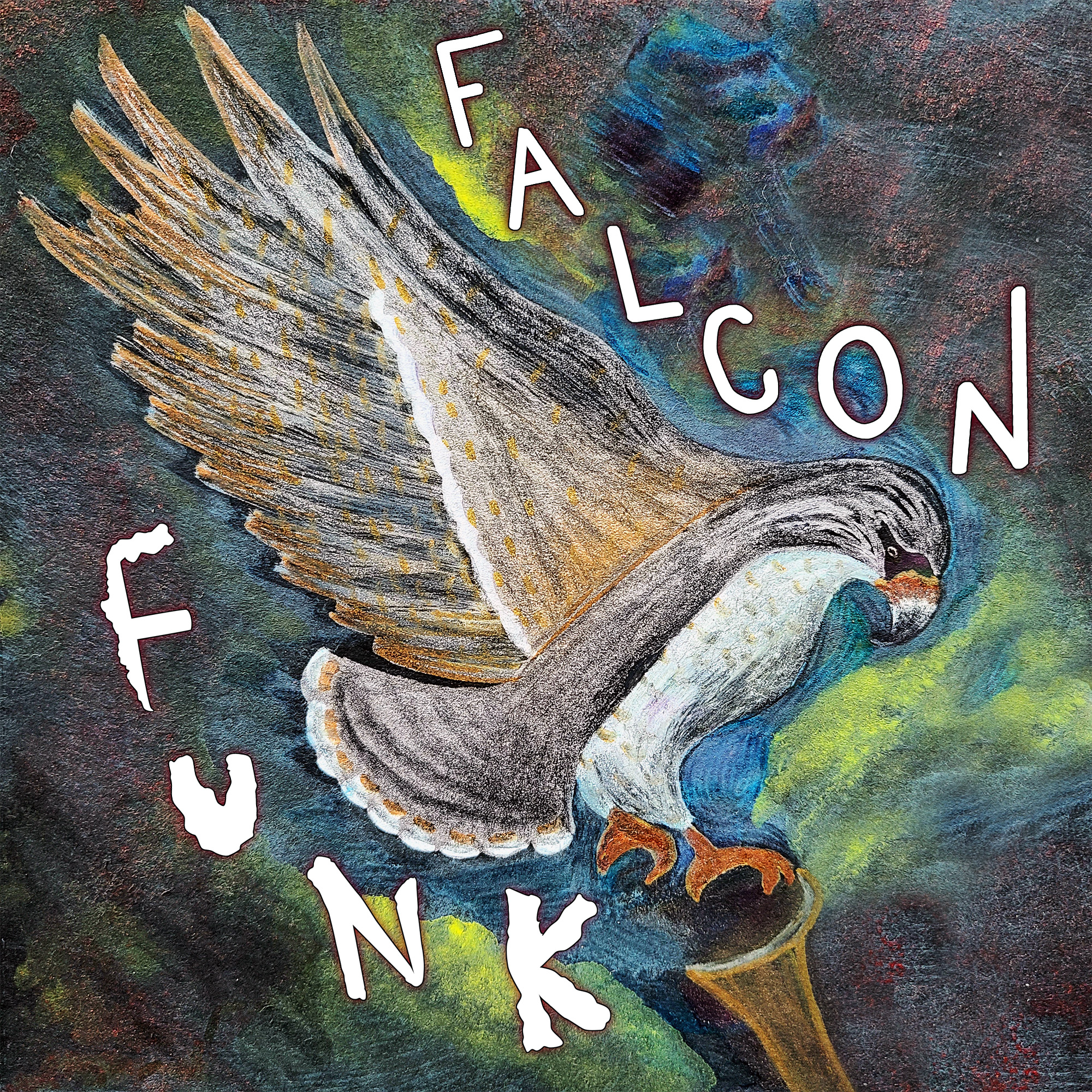 Falcon Funk cover art